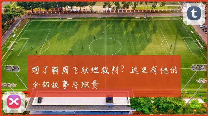 想了解周飞助理裁判?这里有他的全部故事与职责