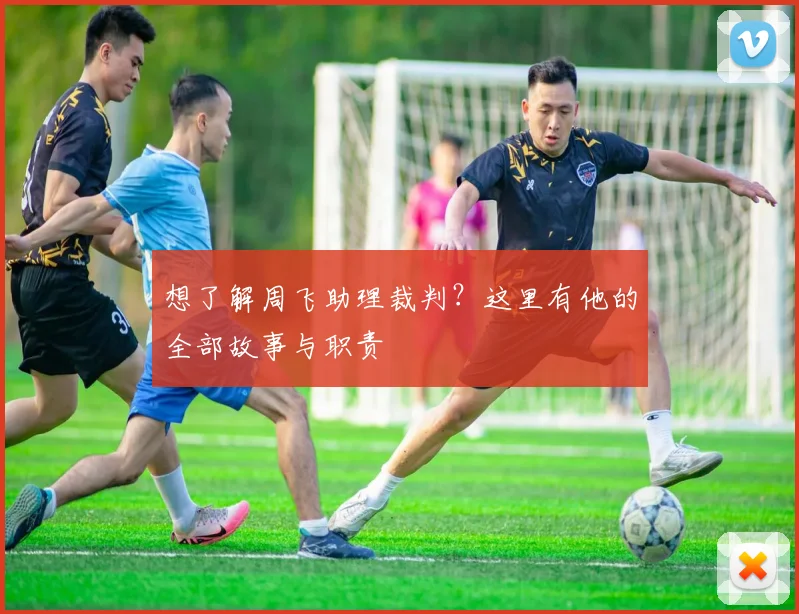 想了解周飞助理裁判？这里有他的全部故事与职责